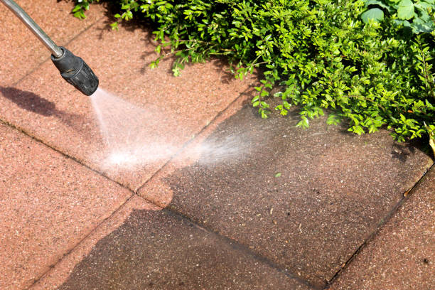 Best Pressure Washing Driveway  in Superior, AZ